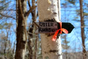 otter rocks sign