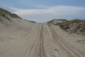 over the dune