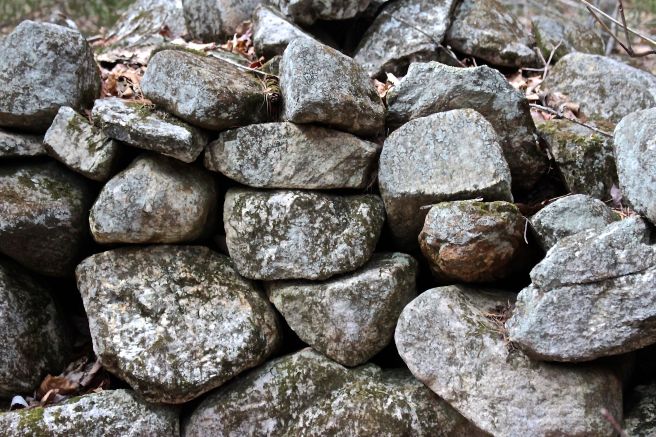 h-stone wall turtle