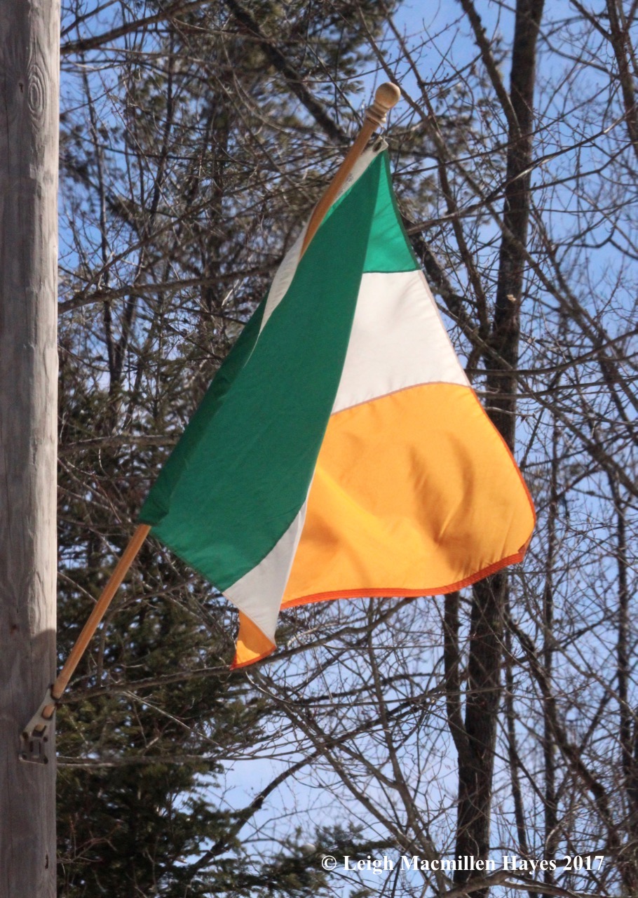 f-Irish flag in breeze