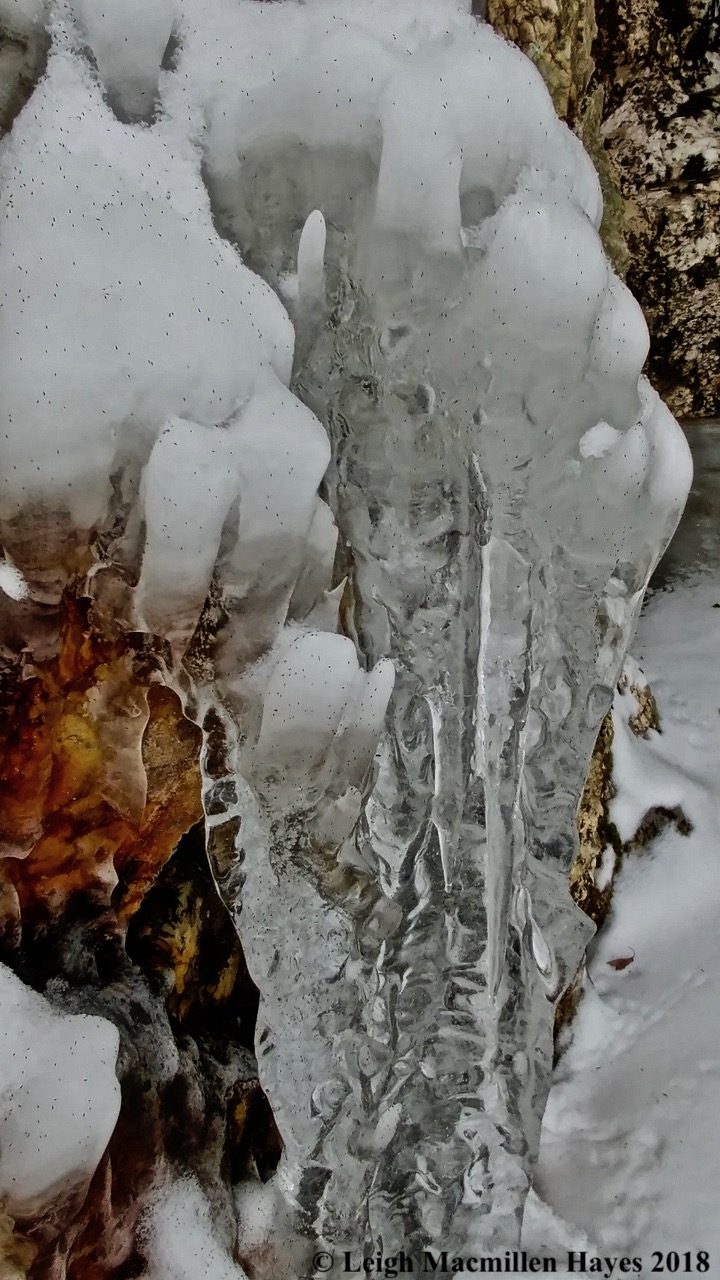 e10-icicles up close (snowfleas as well)