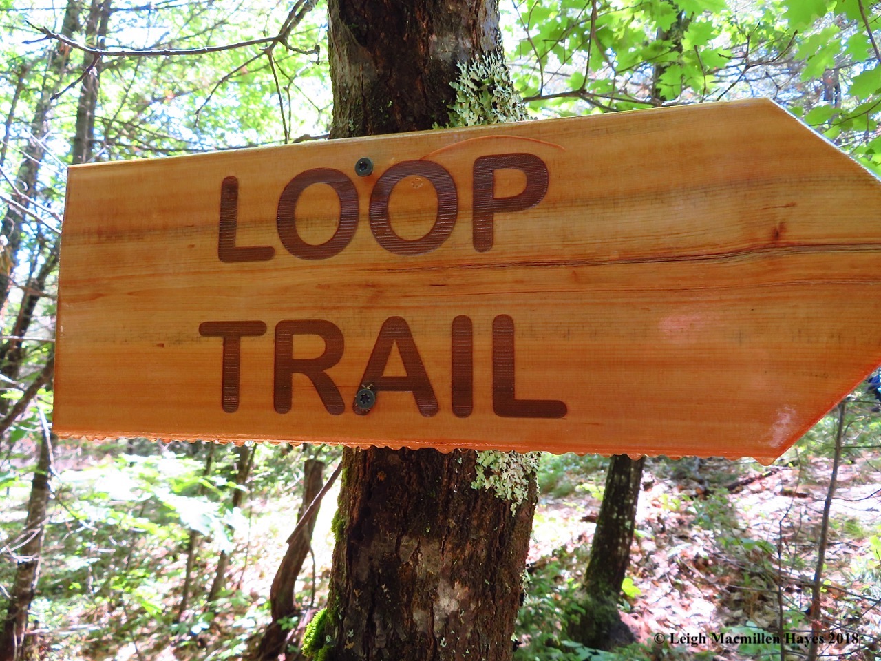 s15-loop trail sign at ridge